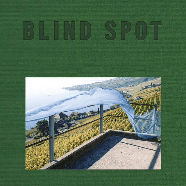 Blind Spot
